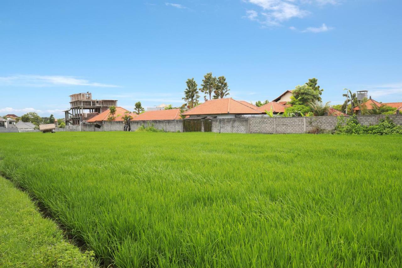 Villa The Hotman Paris V Canggu エクステリア 写真